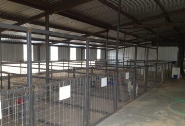 Muğla küçükbaş hayvan ağıl ahır ciftlik yapan firmalar