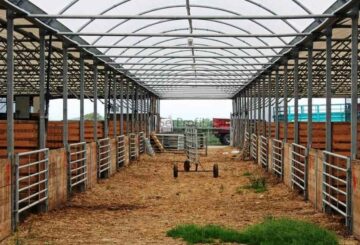 Çorum modern çiftlik ahır yapım bakım ve onarım firması,